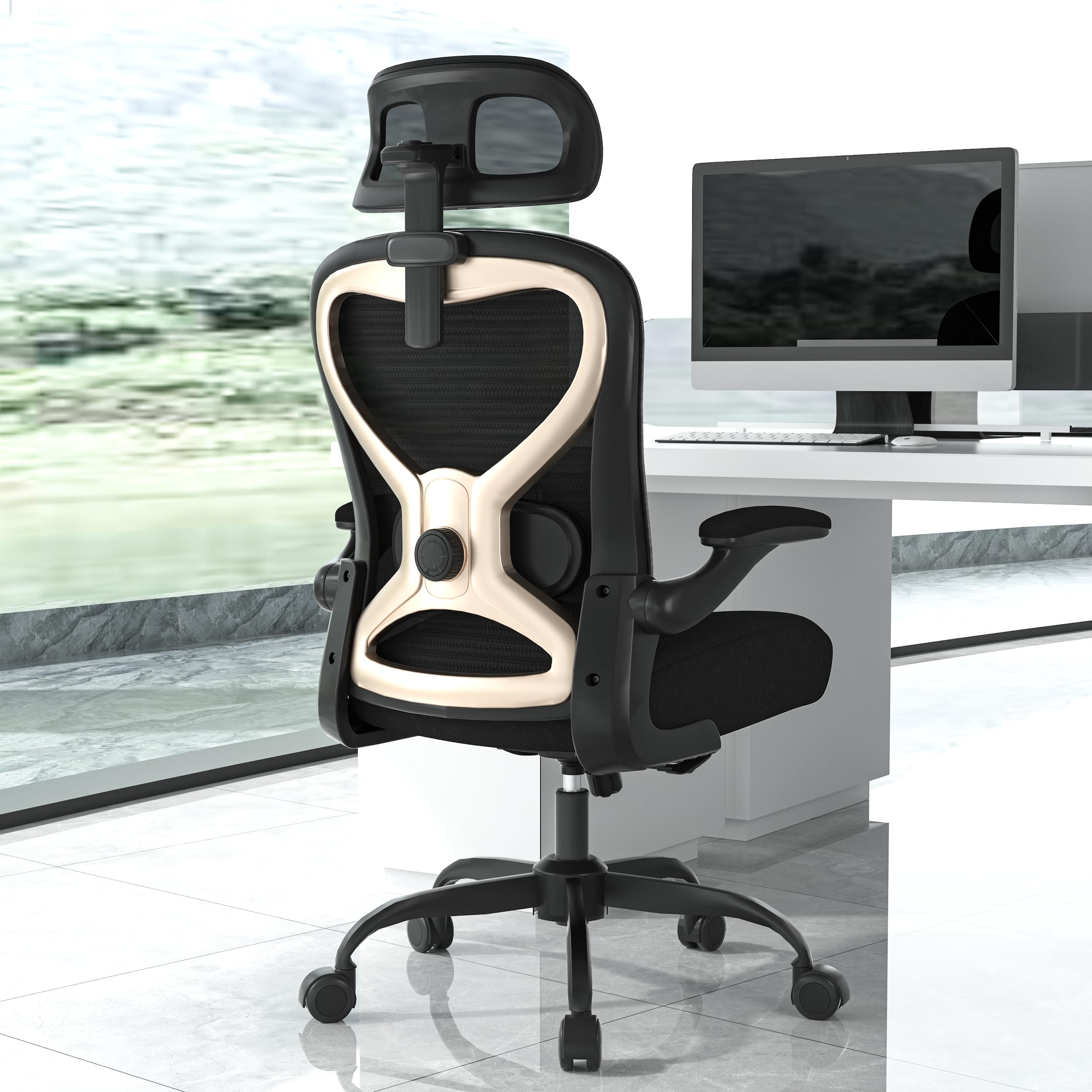 Office Chair for Back & Neck Pain Relief, Virgin Foam Seat, 2D Adjustable Lumbar & 3D Headrest, Flip-Up Armrests, Tilt & Rock for Relaxation, Black/Silver
