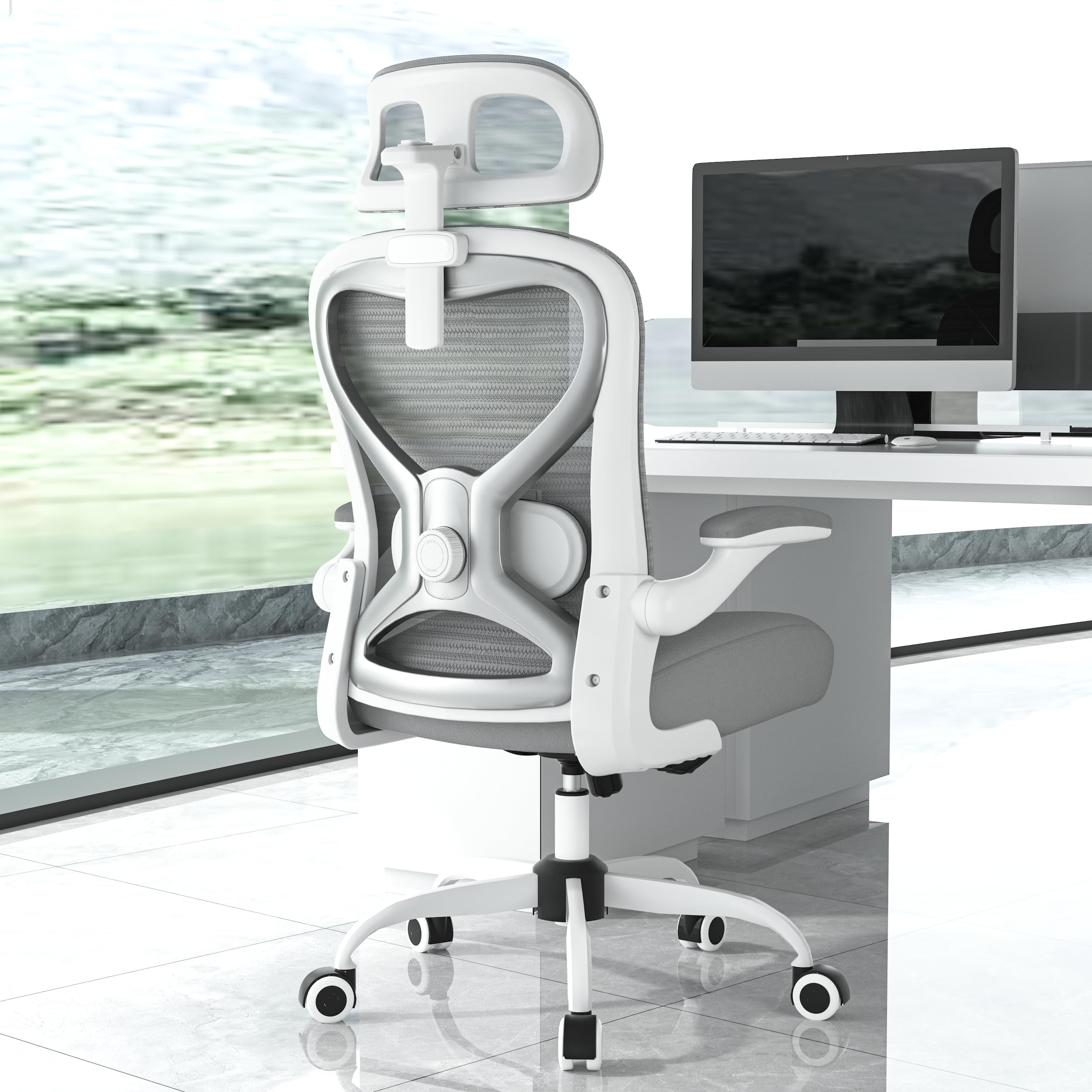 Office Chair for Back & Neck Pain Relief, Virgin Foam Seat, 2D Adjustable Lumbar & 3D Headrest, Flip-Up Armrests, Tilt & Rock for Relaxation, Black/Silver